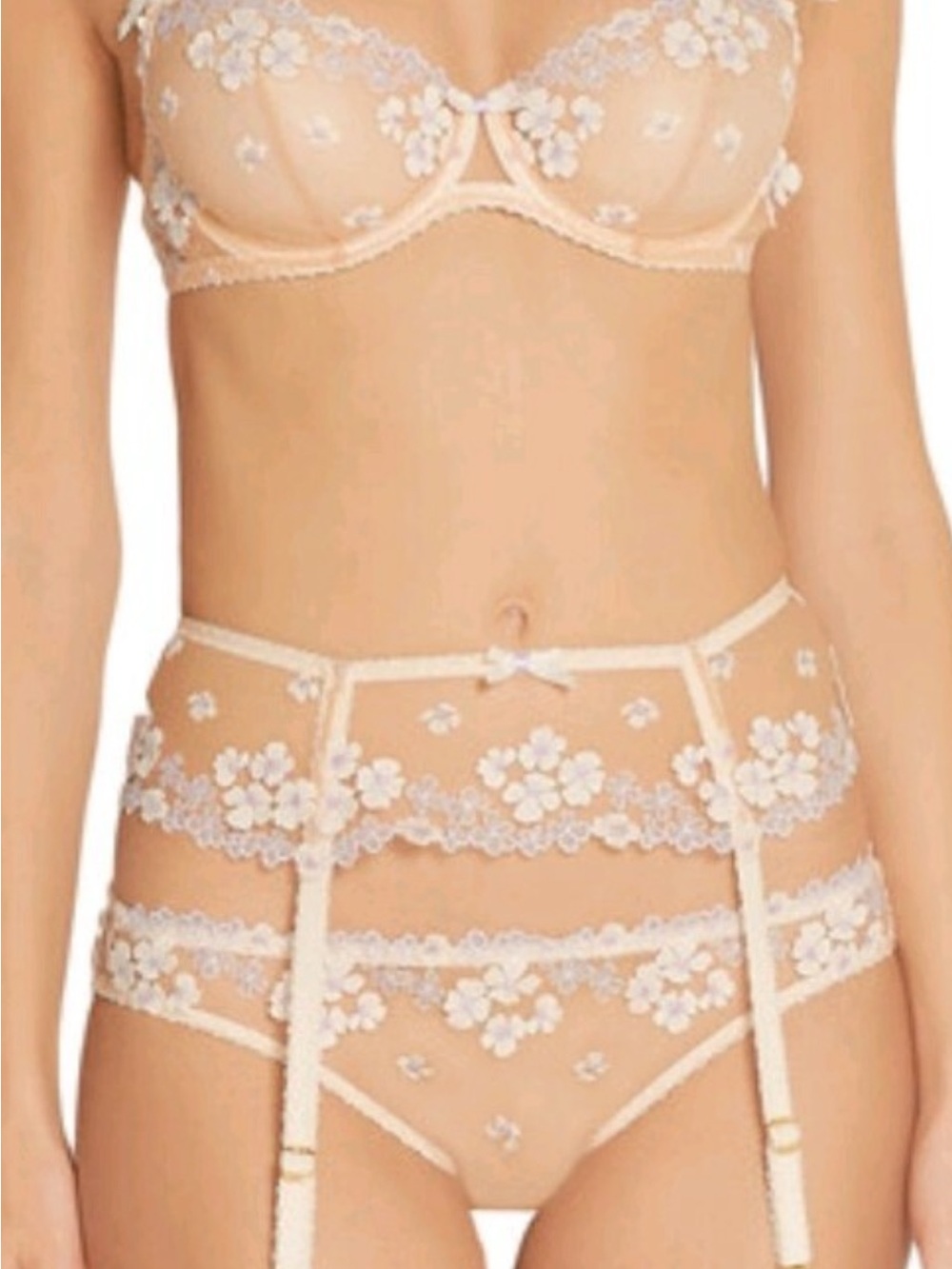 Agent Provocateur Bethanie Brief, Suspender, Garter Set